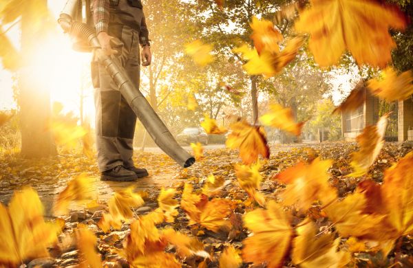 Leaf Blowing Service in Poughkeepsie