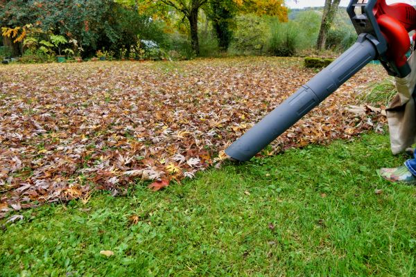 Leaf Vacuuming Service in Poughkeepsie