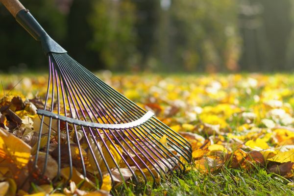 Leaf Raking Service in Poughkeepsie