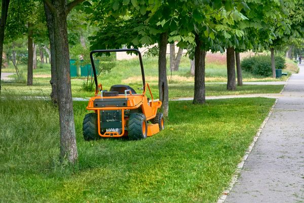 Landscaping Cleanup Service in Poughkeepsie