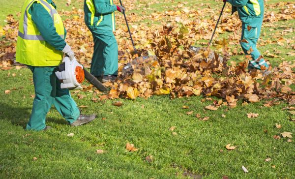 Leaf Maintenance in Poughkeepsie