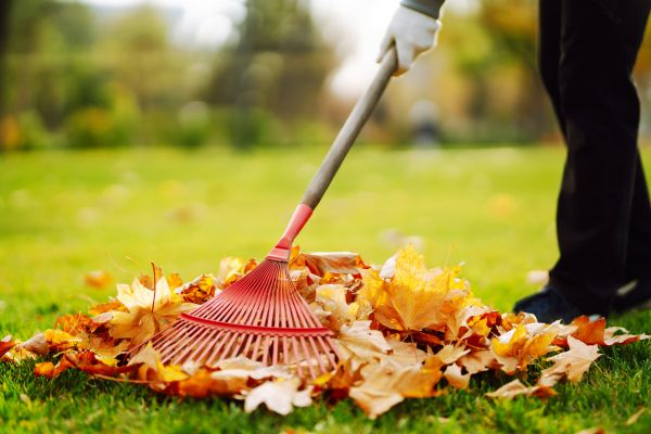 Ditch Leaf Removal in Poughkeepsie
