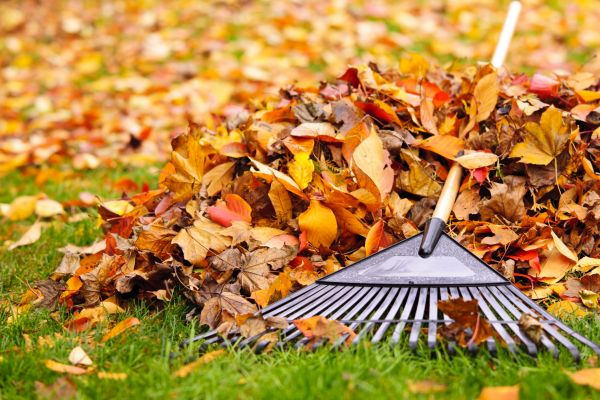 Yard Leaf Removal in Poughkeepsie