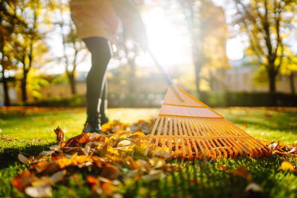 Leaves Raking in Poughkeepsie