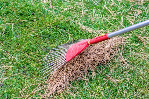 Yard Raking in Poughkeepsie