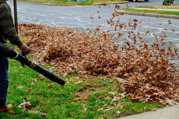 Garden Leaf Removal in Poughkeepsie