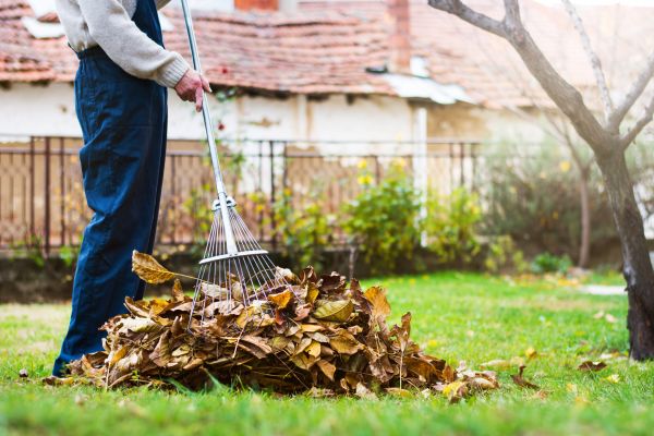 Spring Lawn Cleanup in Poughkeepsie