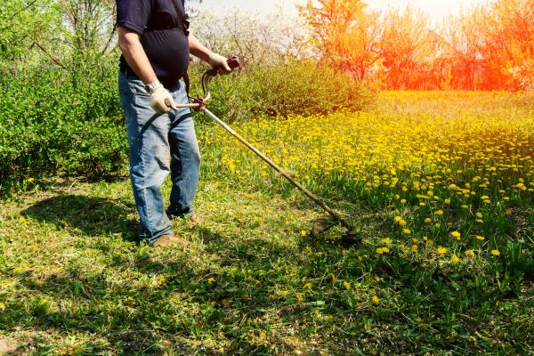 Cost of Yard Clearing Service in Poughkeepsie