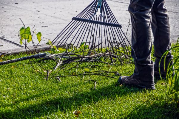 Yard Debris Cleanup in Poughkeepsie