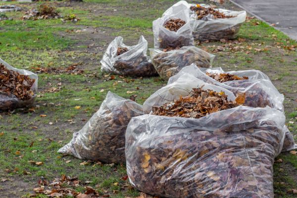 Leaf Pile Disposal in Poughkeepsie