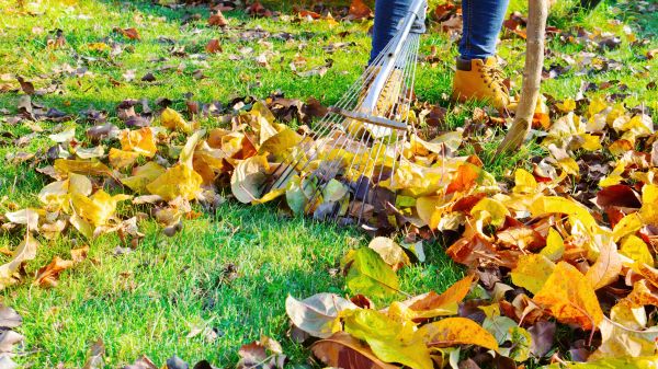 Lawn Cleanup Service in Poughkeepsie