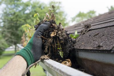 Gutter and Roof Clearing