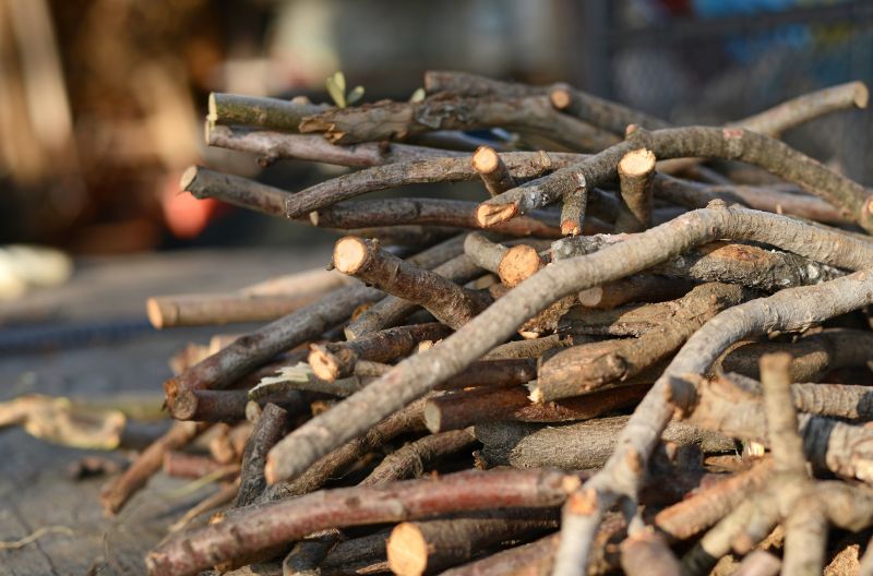 Wood Pile Removal detail