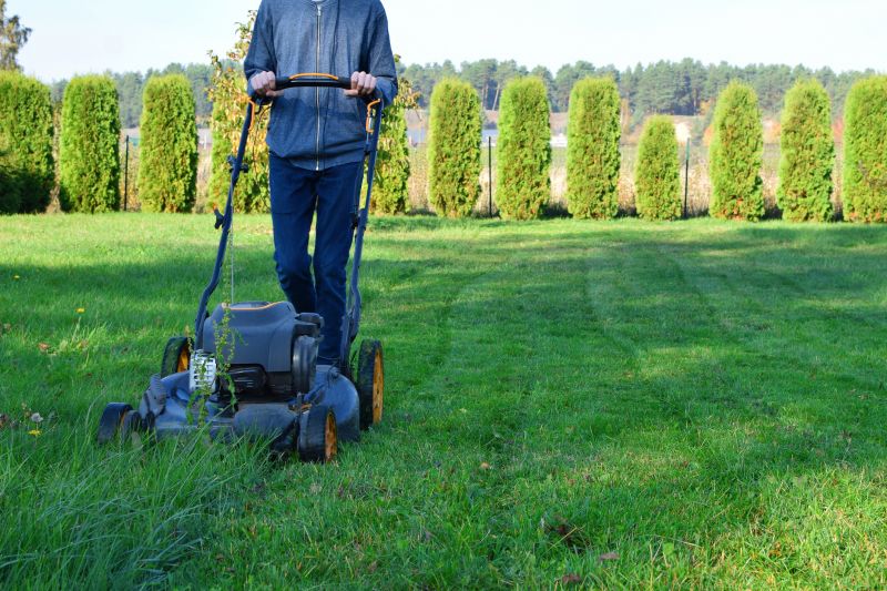 Seasonal lawn maintenance